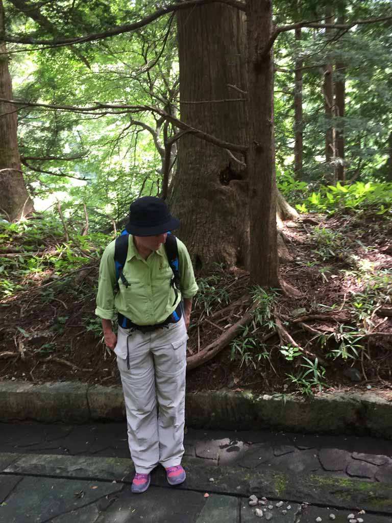 Jen Forest Walk Japan 2019