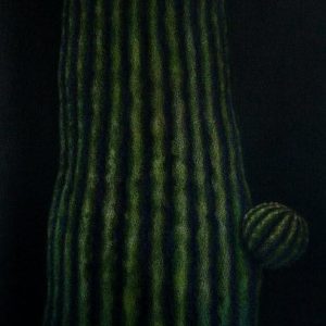 Saguaro 3