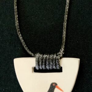 Pied Oyster Catcher 1