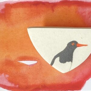 Pied Oyster Catcher 1