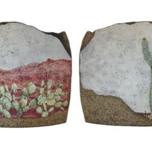 Sonoran Desert Dreaming