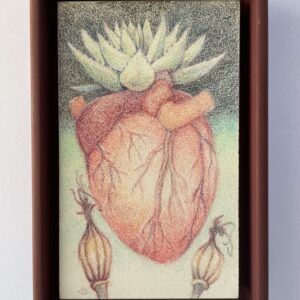 Agave Heart